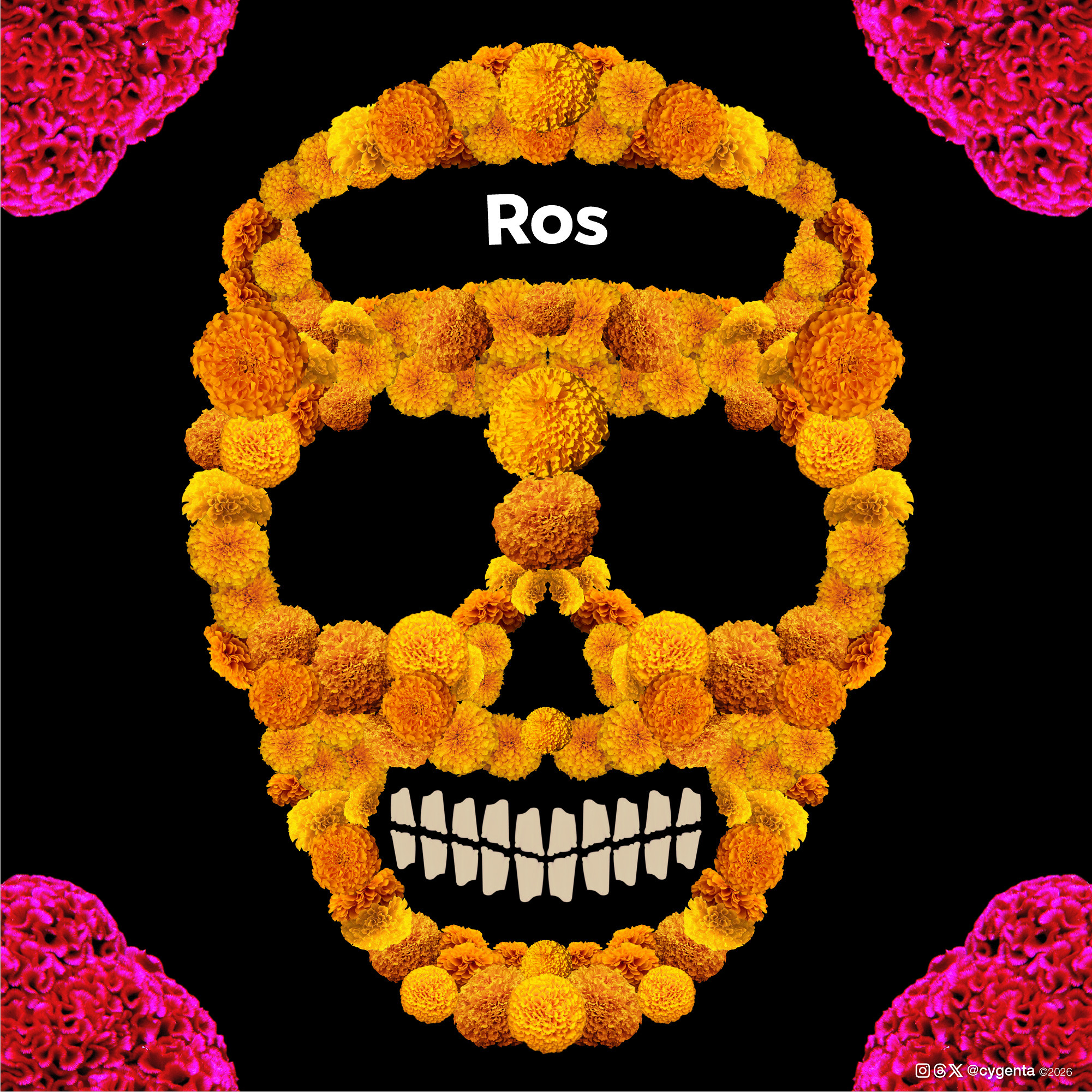 Ros