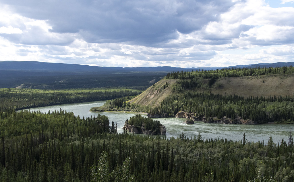 Day 79_Dawson City to Carmacks_DAD4361