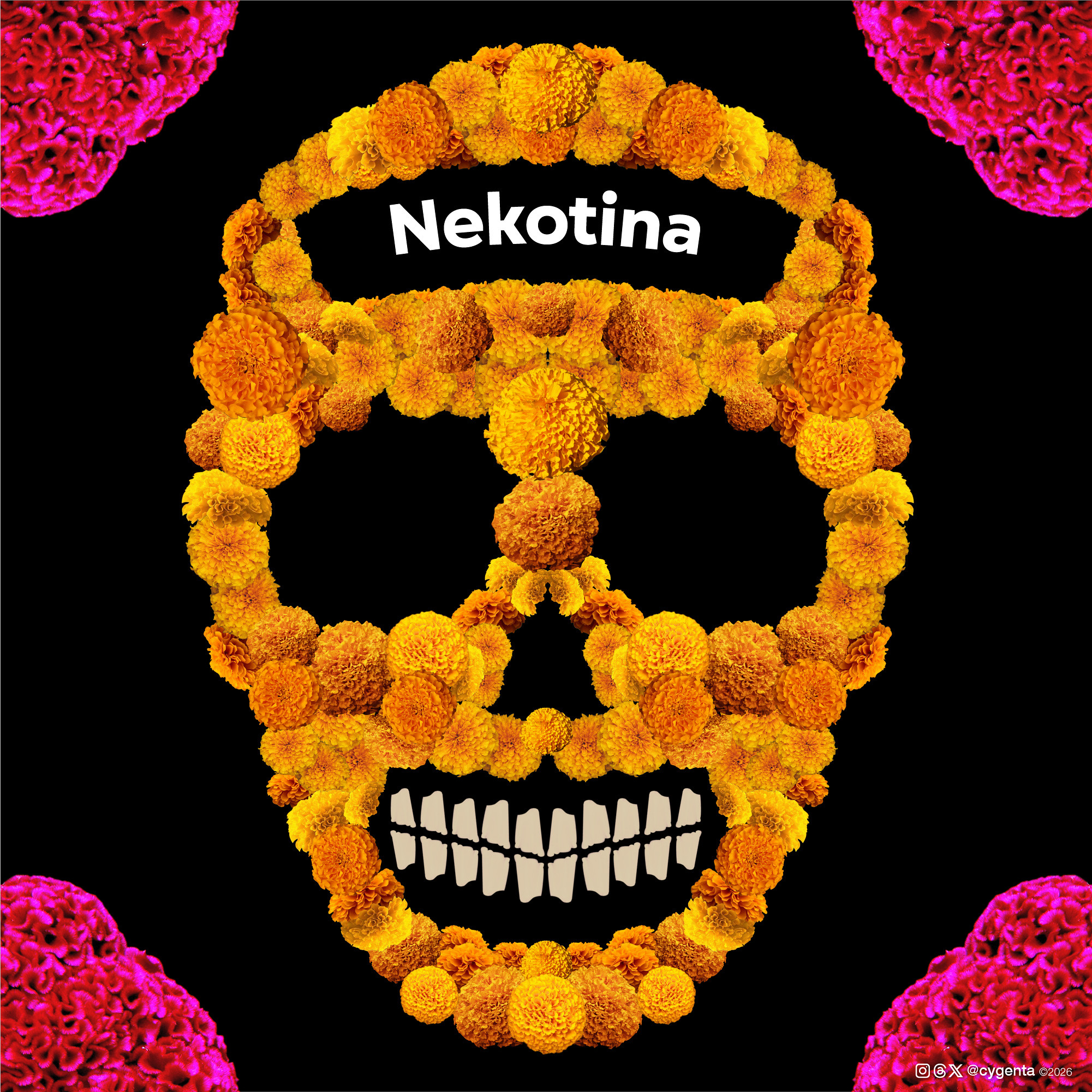 Nekotina