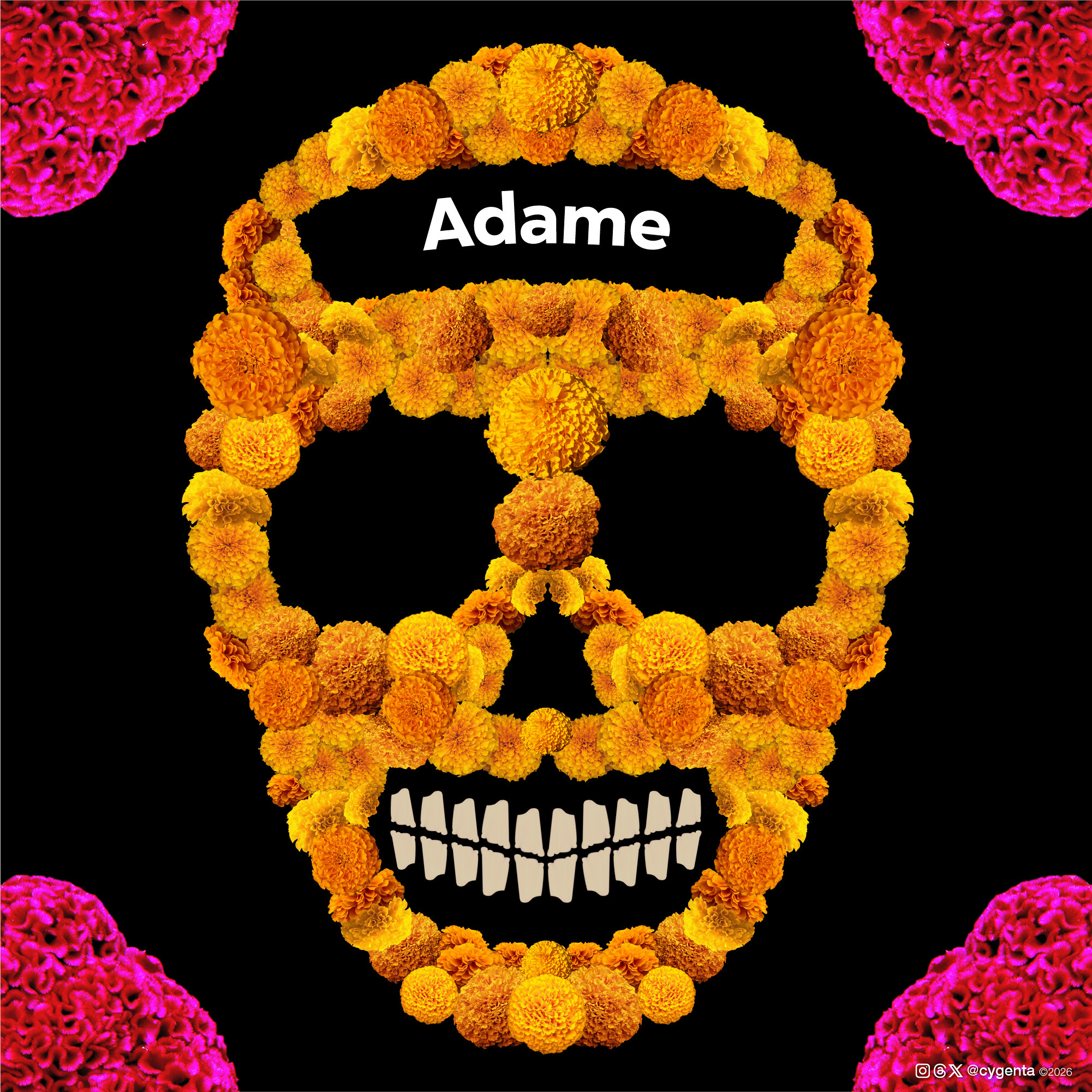Adame
