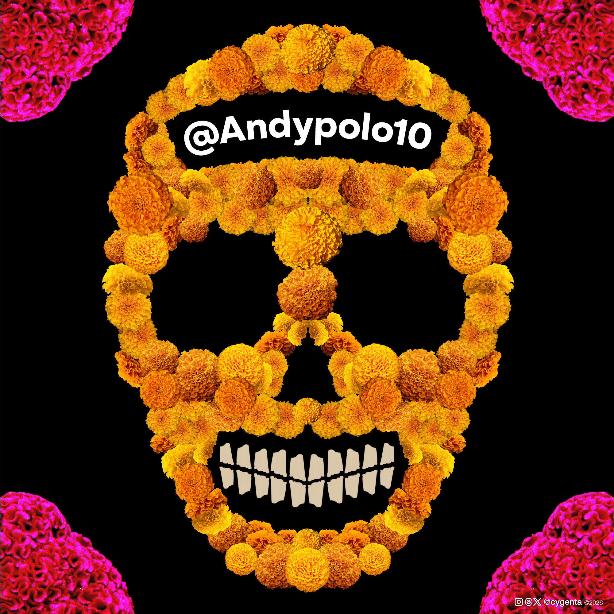 Andypolo10