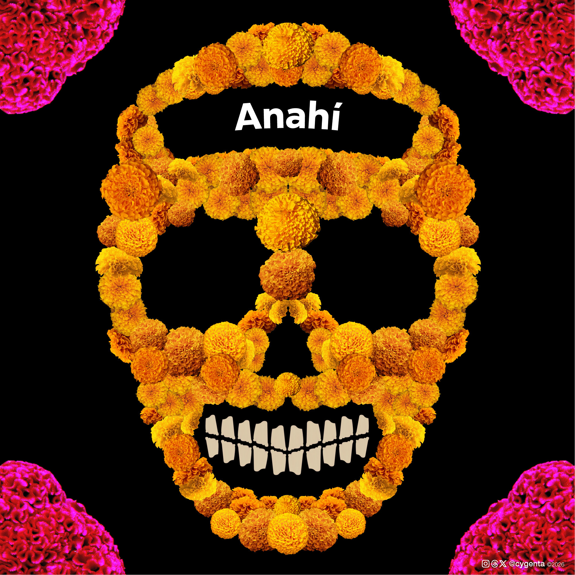 Anahí