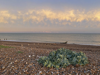 Sunrise or sunset photo of Rustington