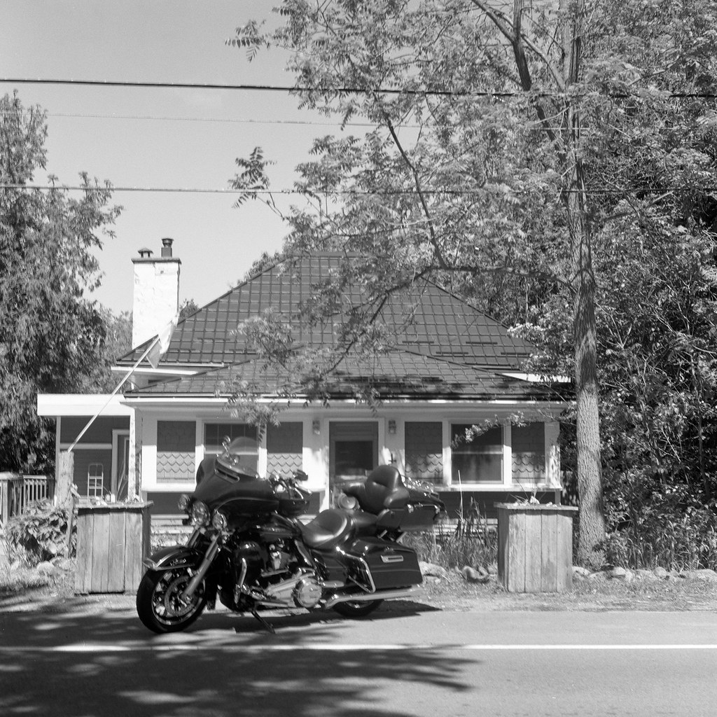 Hog Parking on the side of the Road July 2026