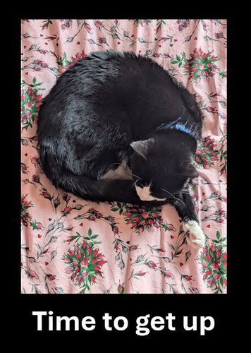 Sleeping Cagney