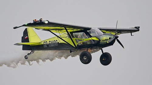 Bush cat / SP Smog / Rainbow SkyReach / South Africa