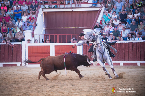Festejo de Rejones 063 YdH