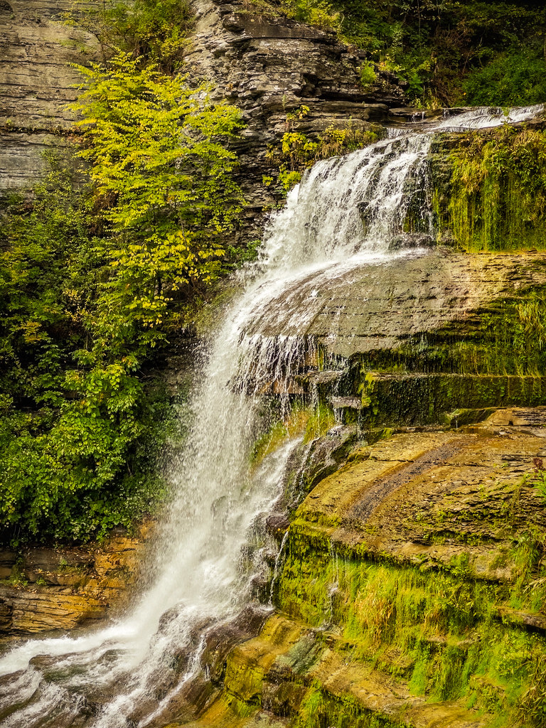 The falls slide down mossy rock beside a shrub just turning yellow, the gorge trees otherwise green.
