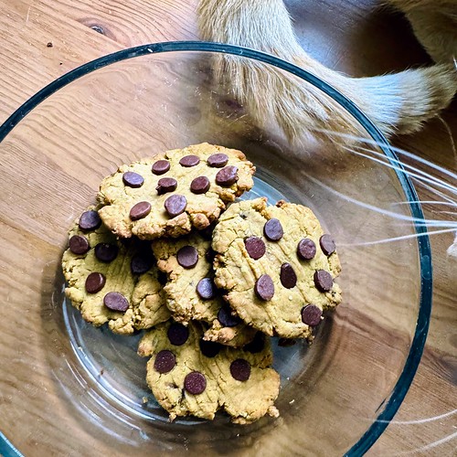 3 Ingredient Protein Cookies