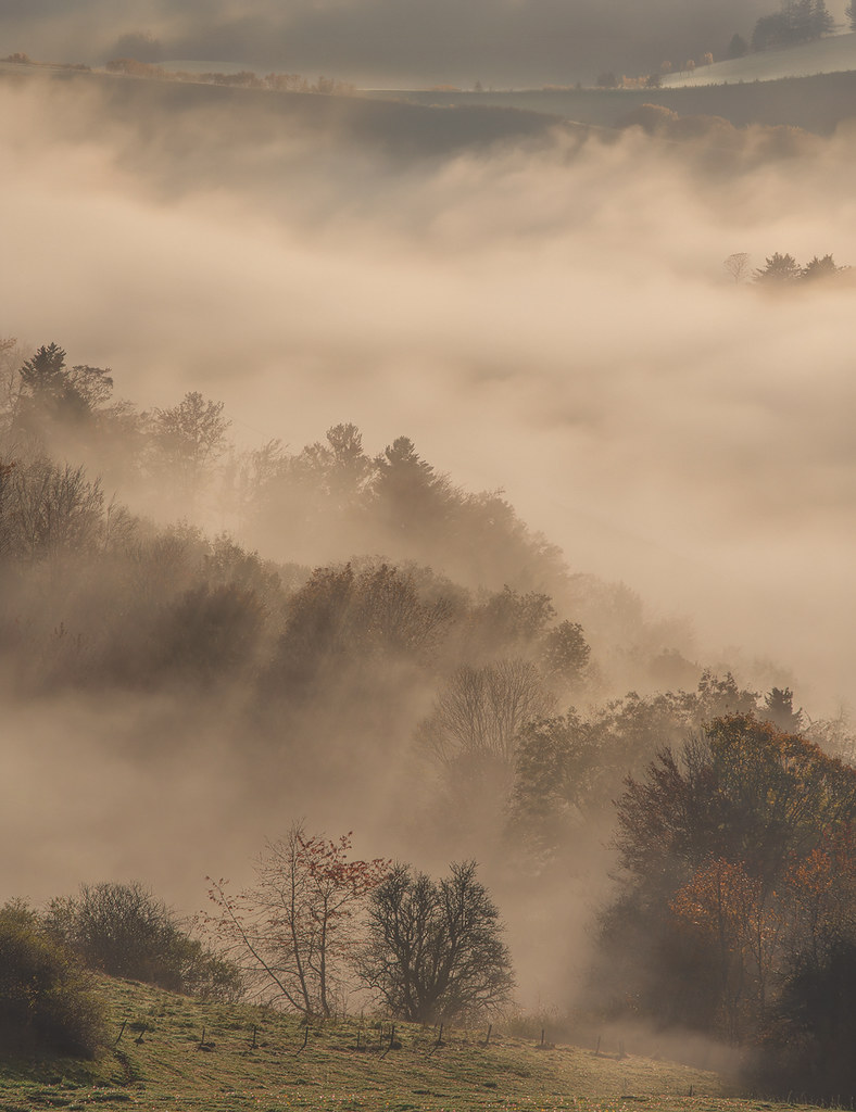 autumnal