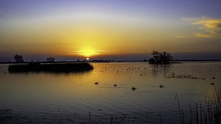 Flickr photo: Merced National Wildlife Refuge