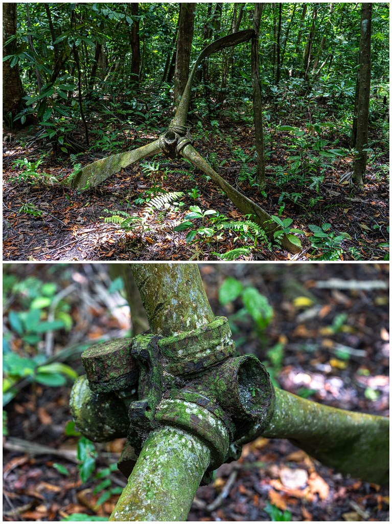 Japanese Zero propeller on Ngesebus Island