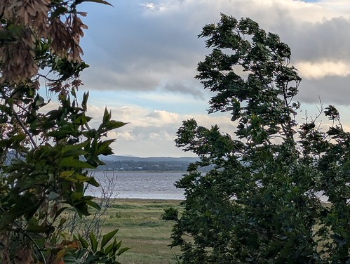 262/365 Findhorn Bay