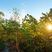 			<p><a href="https://www.flickr.com/people/78950271@N03/">hbensliman</a> posted a photo:</p>
	
<p><a href="https://www.flickr.com/photos/78950271@N03/55539501290/" title="Rocher de la Reine"><img src="https://live.staticflickr.com/65535/55539501290_0cfa8201bf_m.jpg" width="240" height="160" alt="Rocher de la Reine" /></a></p>

<p><a href="https://hben-bleau.pages-perso.free.fr/" rel="noreferrer nofollow">Website</a> / <a href="https://www.paysagestore.fr/albums" rel="noreferrer nofollow">Fine-Art</a>   / <a href="https://hbensliman.myportfolio.com/fontainebleau-forest" rel="noreferrer nofollow">Buy</a></p>
