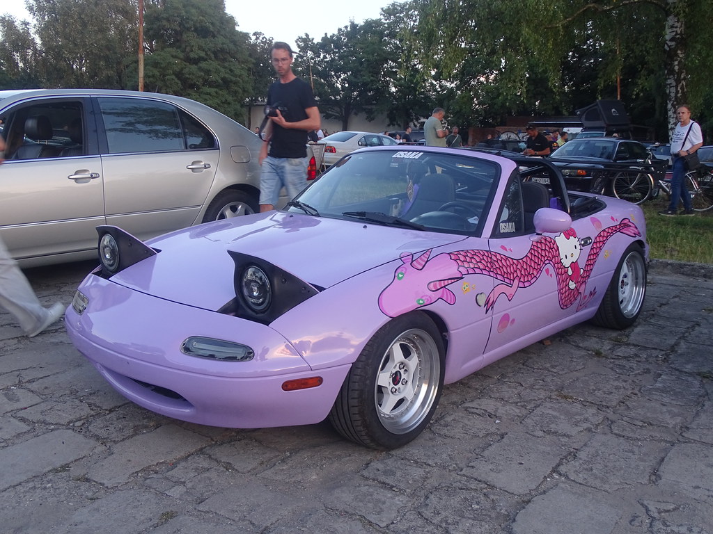 55539539853_351c3f0bc8_b.jpg