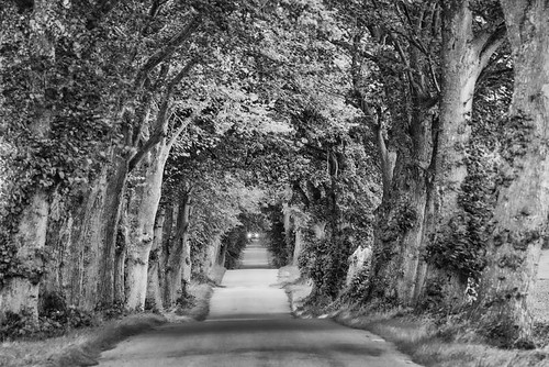 Landstraße in Dänemark