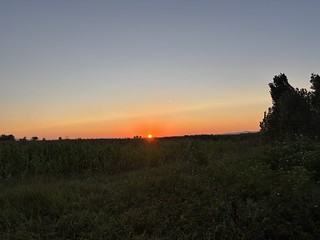Flickr photo: Sunset