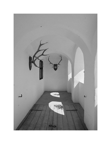 Skanzen - Szentendre, 2026