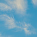 Wispy high clouds in the blue late afternoon sky