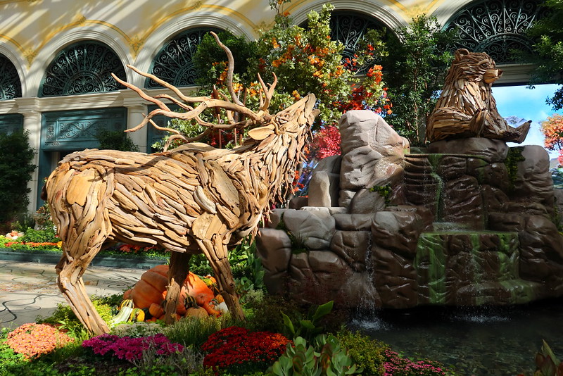 IMG_0594 Bellagio Conservatory & Botanical Gardens