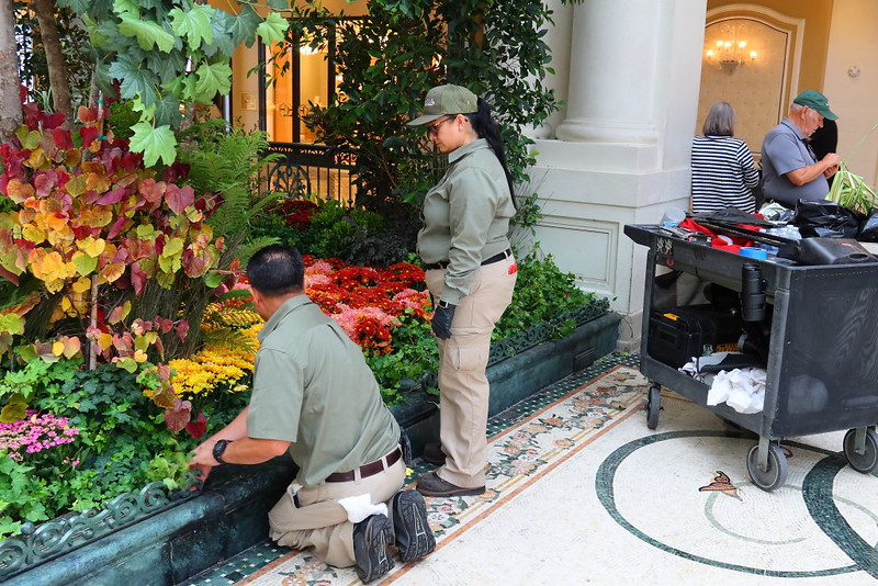 IMG_0658 Bellagio Conservatory & Botanical Gardens