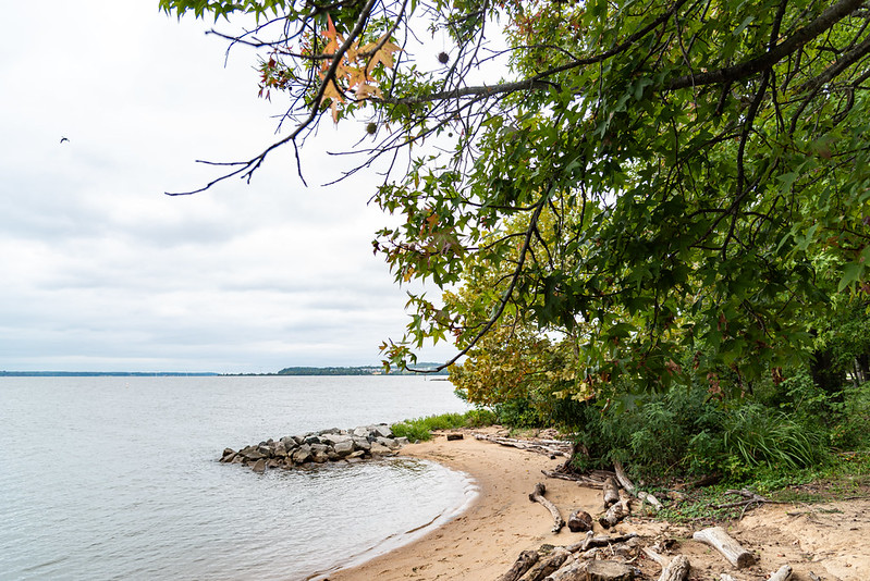 2026 Fall Foliage at Leesylvania State Park