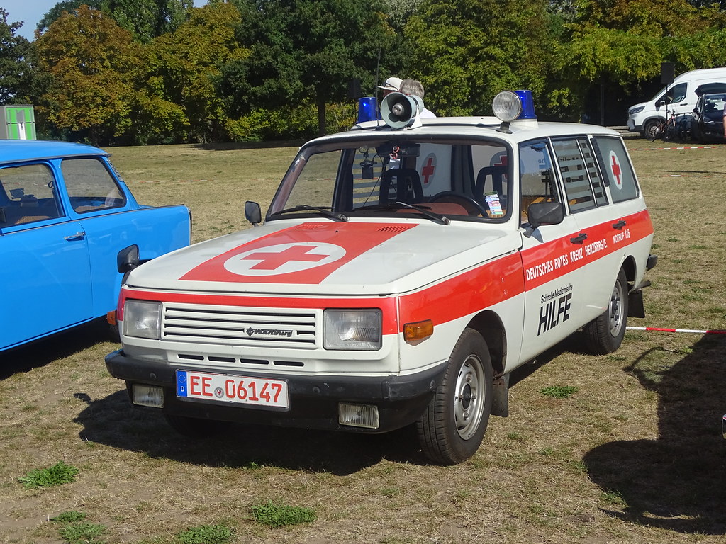 55544643136_fe8ec01a50_b.jpg