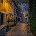 PXL_20260922_175847553.NIGHT.RAW-01