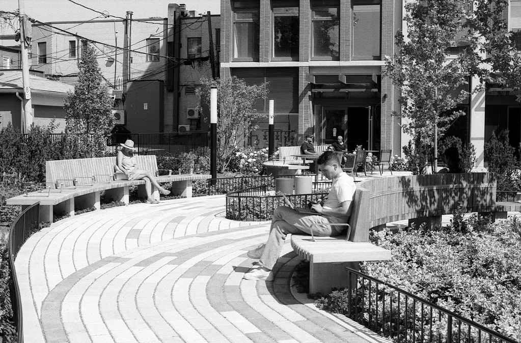 Mirvish Village Neighbourhood Sancturary