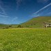 			<p><a href="https://www.flickr.com/people/96654411@N02/">steve_whitmarsh</a> posted a photo:</p>
	
<p><a href="https://www.flickr.com/photos/96654411@N02/55545641981/" title="Summer Meadow"><img src="https://live.staticflickr.com/65535/55545641981_6b48536d7f_m.jpg" width="240" height="160" alt="Summer Meadow" /></a></p>

<p>A meadow in the Pennines is full of summer buttercups blooming in the warm sunshine, with a small barn standing guardian over the scene.</p>
