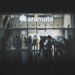 ANIMATE