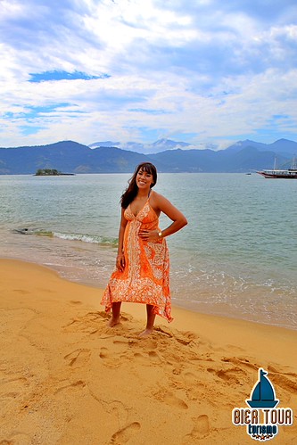 batch_ilha  (340)