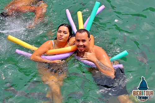 batch_ilha  (221)