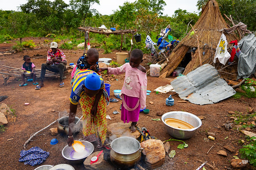 Making cheese with Fulani nomadic tribe, Natitingou