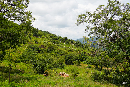Northern Togo landscape