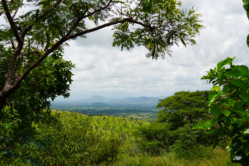 Northern Togo landscape