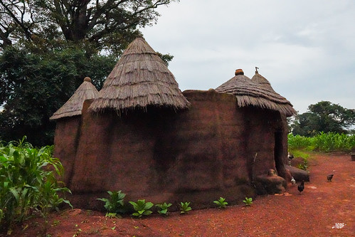 Natitingou mud houses