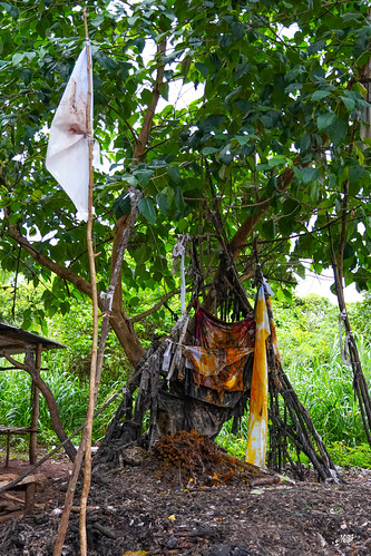 Vodun offerings at Dankoli Shrine, Benin