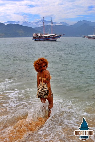 batch_ilha  (318)