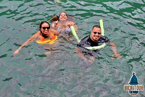 batch_ilha  (196)