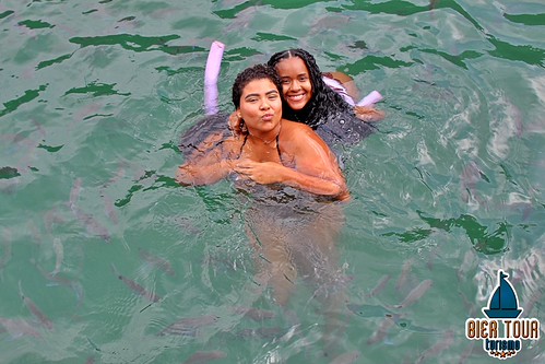batch_ilha  (166)