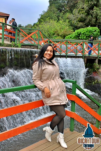 batch_IMG_9602