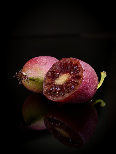 Kiwi_2