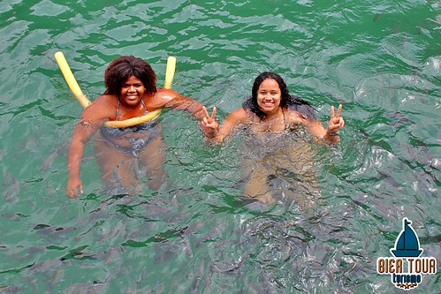 batch_ilha  (158)