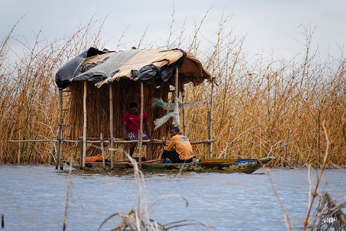 Stilt shelter on Lake Nokoué