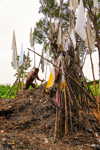 Vodoun offerings at Dankoli Shrine, Benin