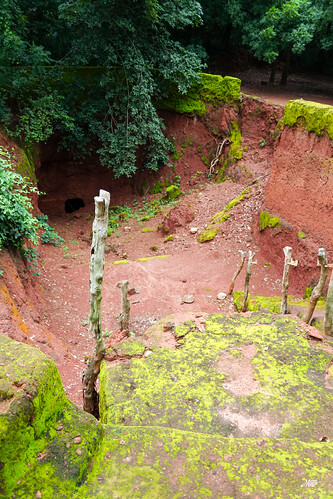 Underground dwelling near Abomey