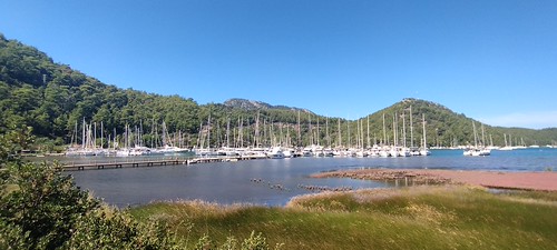Orhaniye