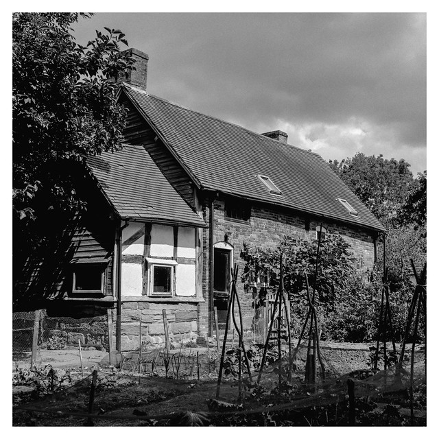 Cottage garden