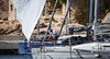 PC6B0763 - 2026 - Trka oko Krka - subota